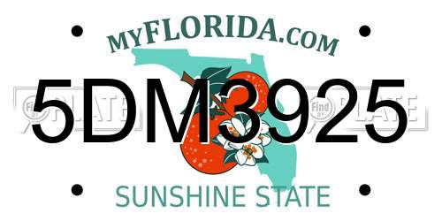 5DM3925 Florida License Plate