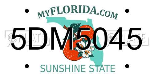 5DM5045 Florida License Plate
