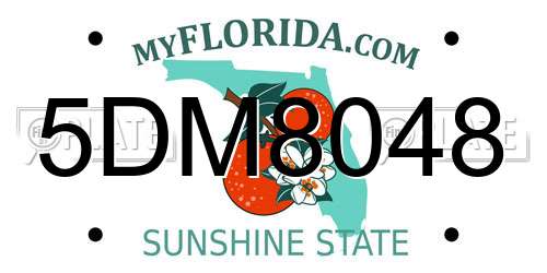 5DM8048 Florida License Plate