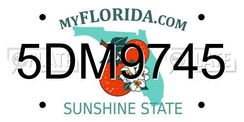 5DM9745 Florida License Plate