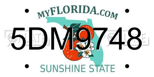 5DM9748 Florida License Plate