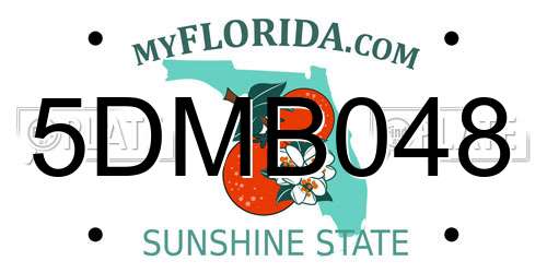 5DMB048 Florida License Plate