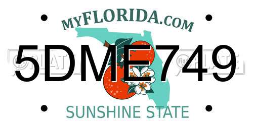5DME749 Florida License Plate