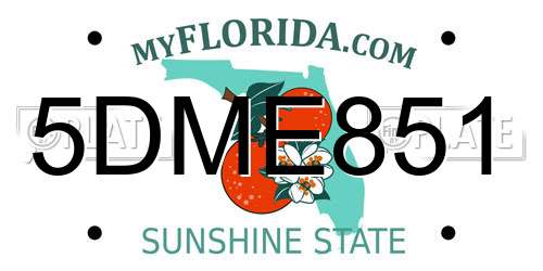 5DME851 Florida License Plate