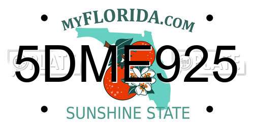 5DME925 Florida License Plate