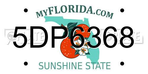 5DP6368 Florida License Plate