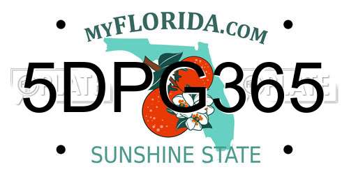 5DPG365 Florida License Plate