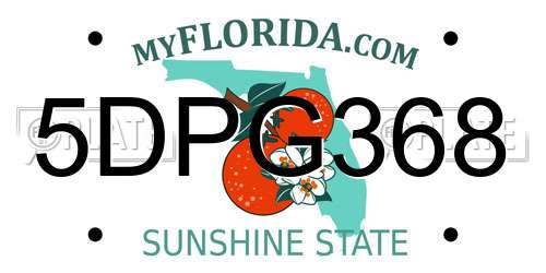 5DPG368 Florida License Plate