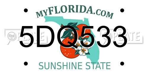 5DQ533 Florida License Plate