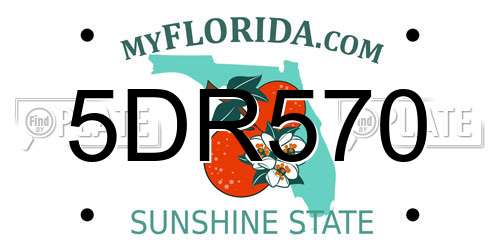 5DR570 Florida License Plate