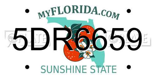 5DR6659 Florida License Plate