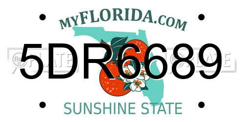 5DR6689 Florida License Plate