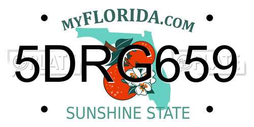 5DRG659 Florida License Plate