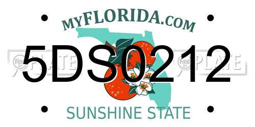 5DS0212 Florida License Plate