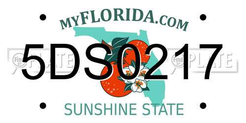 5DS0217 Florida License Plate