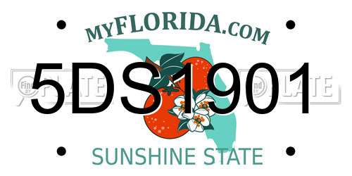 5DS1901 Florida License Plate