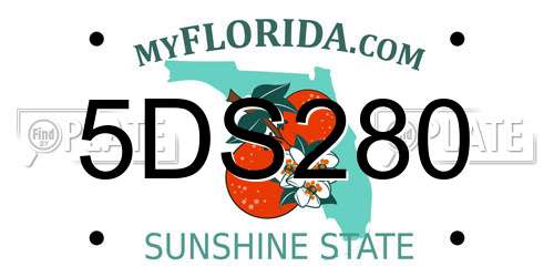 5DS280 Florida License Plate