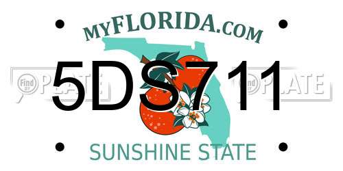 5DS711 Florida License Plate
