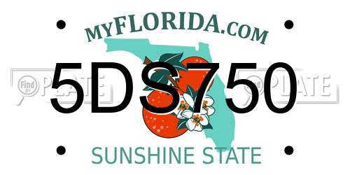 5DS750 Florida License Plate