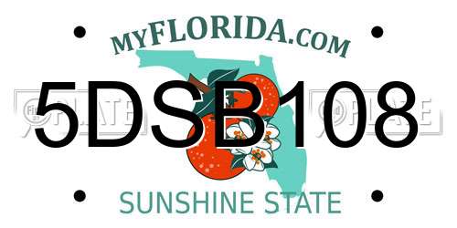 5DSB108 Florida License Plate