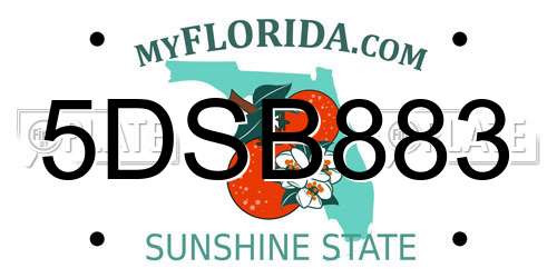 5DSB883 Florida License Plate