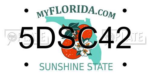5DSC42 Florida License Plate