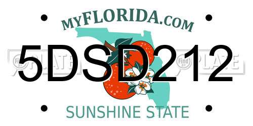 5DSD212 Florida License Plate