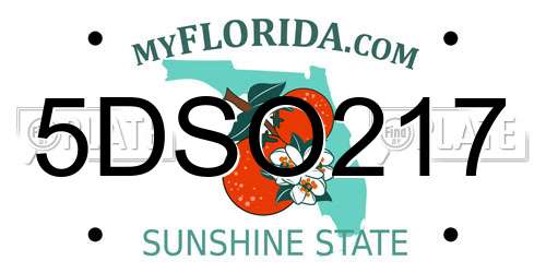 5DSO217 Florida License Plate