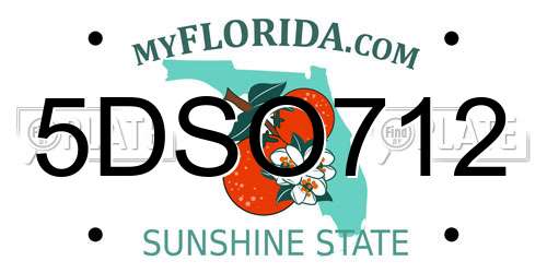 5DSO712 Florida License Plate