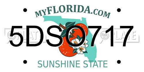 5DSO717 Florida License Plate