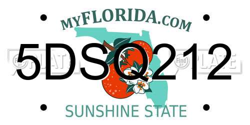 5DSQ212 Florida License Plate