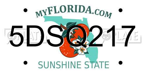 5DSQ217 Florida License Plate