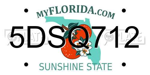 5DSQ712 Florida License Plate