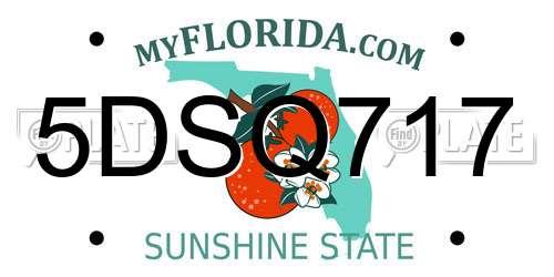 5DSQ717 Florida License Plate