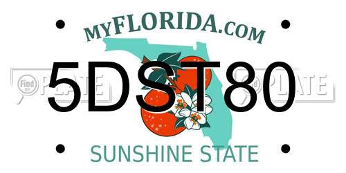 5DST80 Florida License Plate