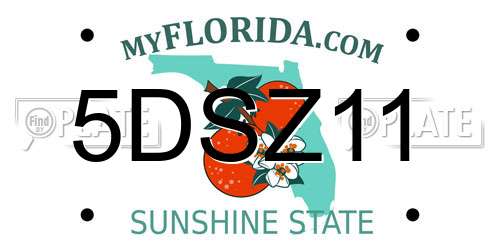 5DSZ11 Florida License Plate