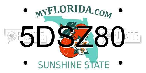 5DSZ80 Florida License Plate