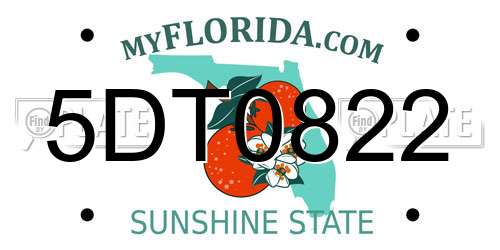 5DT0822 Florida License Plate