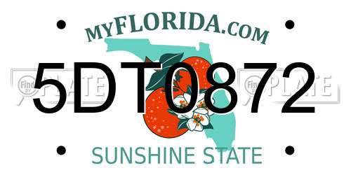 5DT0872 Florida License Plate