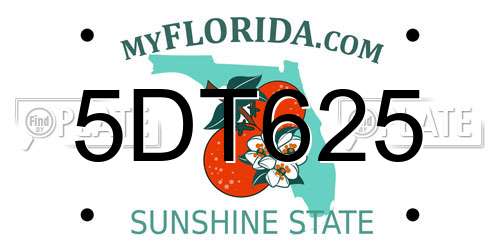5DT625 Florida License Plate