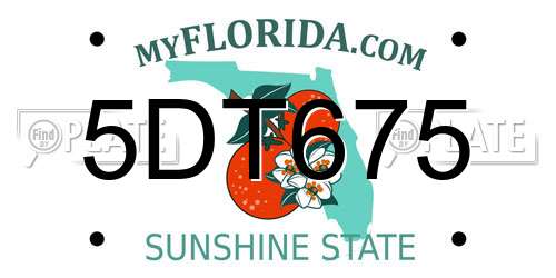 5DT675 Florida License Plate