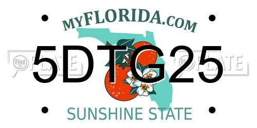 5DTG25 Florida License Plate
