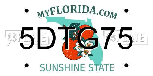 5DTG75 Florida License Plate