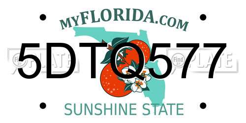 5DTQ577 Florida License Plate
