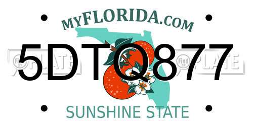 5DTQ877 Florida License Plate