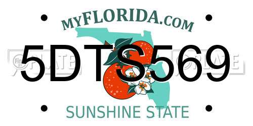 5DTS569 Florida License Plate