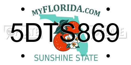 5DTS869 Florida License Plate
