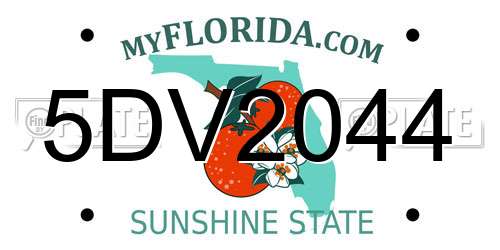 5DV2044 Florida License Plate