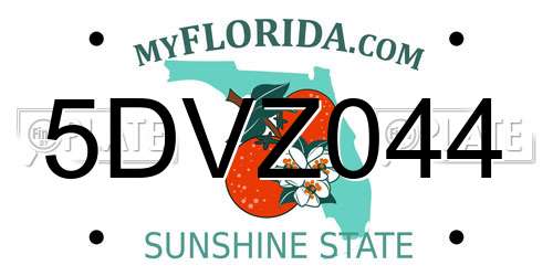 5DVZ044 Florida License Plate