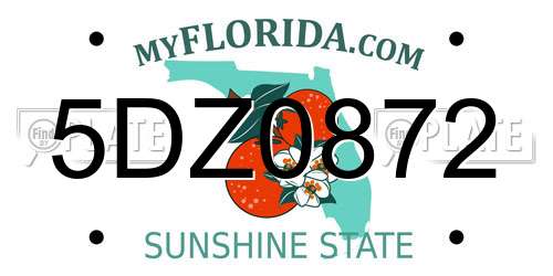 5DZ0872 Florida License Plate